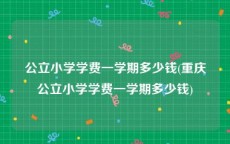 公立小学学费一学期多少钱(重庆公立小学学费一学期多少钱)