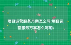 项目运营服务方案怎么写(项目运营服务方案怎么写的)