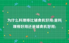 为什么料理棒比辅食机好用(是料理棒好用还是辅食机好用)