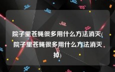 院子里苍蝇很多用什么方法消灭(院子里苍蝇很多用什么方法消灭掉)