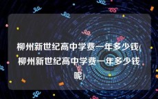 柳州新世纪高中学费一年多少钱(柳州新世纪高中学费一年多少钱呢)