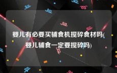 婴儿有必要买辅食机搅碎食材吗(婴儿辅食一定要搅碎吗)