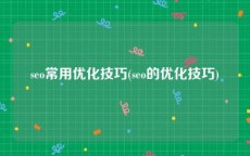 seo常用优化技巧(seo的优化技巧)