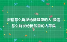 微信怎么群发给标签里的人 微信怎么群发给标签里的人苹果