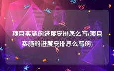 项目实施的进度安排怎么写(项目实施的进度安排怎么写的)