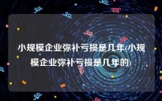 小规模企业弥补亏损是几年(小规模企业弥补亏损是几年的)