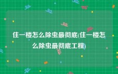 住一楼怎么除虫最彻底(住一楼怎么除虫最彻底工程)