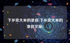 下乡卖大米的录音(下乡卖大米的录音文案)