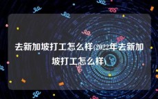 去新加坡打工怎么样(2022年去新加坡打工怎么样)