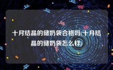 十月结晶的储奶袋合格吗(十月结晶的储奶袋怎么样)