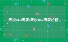 天梭1853男表(天梭1853男表价格)