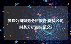 保险公司财务分析报告(保险公司财务分析报告范文)