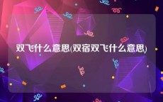 双飞什么意思(双宿双飞什么意思)