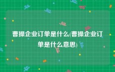 曹操企业订单是什么(曹操企业订单是什么意思)