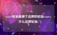 winter轮胎是哪个品牌的轮胎(winter什么品牌轮胎)