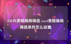 EXCEL表格高级筛选 excel表格高级筛选条件怎么设置