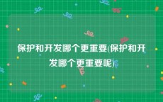 保护和开发哪个更重要(保护和开发哪个更重要呢)