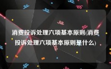 消费投诉处理六项基本原则(消费投诉处理六项基本原则是什么)