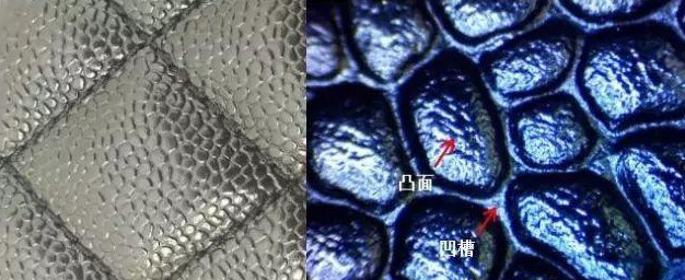 香奈儿GST鉴定,四个知识点教你辨真假
