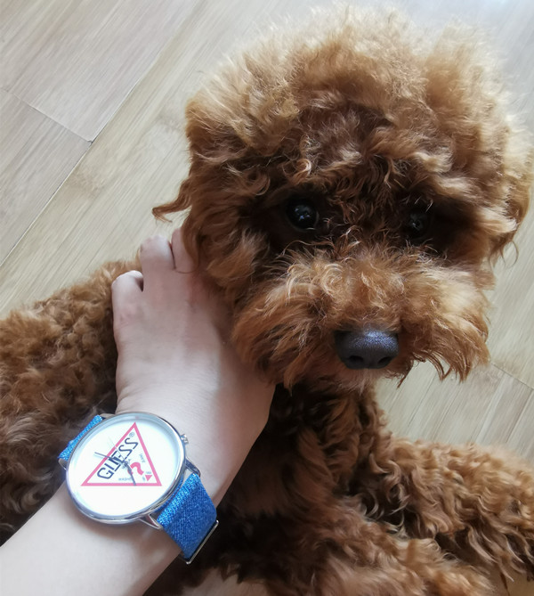guess手表怎么样,GUESS潮流时尚创意男表好吗