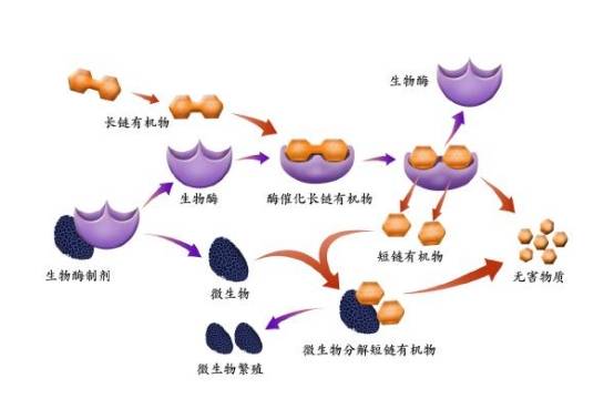 宠物异味危害多，选对除臭剂很重要
