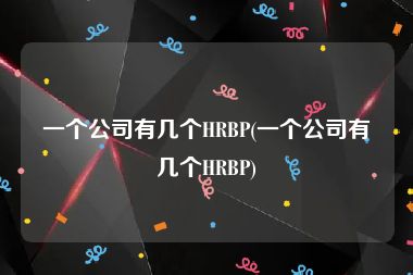 一个公司有几个HRBP(一个公司有几个HRBP)