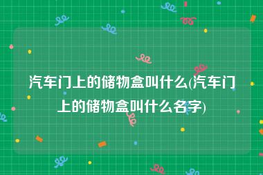 汽车门上的储物盒叫什么(汽车门上的储物盒叫什么名字)