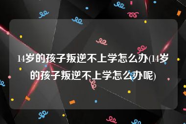 14岁的孩子叛逆不上学怎么办(14岁的孩子叛逆不上学怎么办呢)