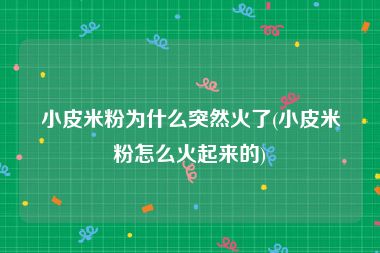 小皮米粉为什么突然火了(小皮米粉怎么火起来的)