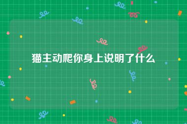 猫主动爬你身上说明了什么