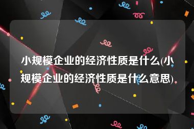 小规模企业的经济性质是什么(小规模企业的经济性质是什么意思)