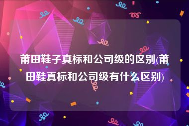 莆田鞋子真标和公司级的区别(莆田鞋真标和公司级有什么区别)