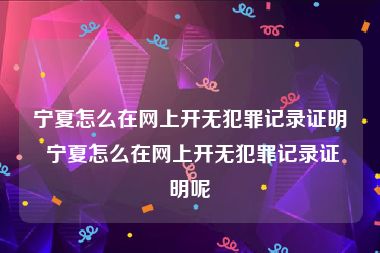 宁夏怎么在网上开无犯罪记录证明 宁夏怎么在网上开无犯罪记录证明呢