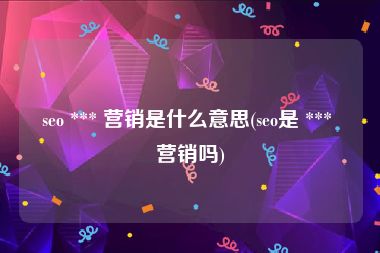 seo *** 营销是什么意思(seo是 *** 营销吗)