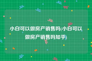 小白可以做房产销售吗(小白可以做房产销售吗知乎)