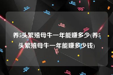 养5头繁殖母牛一年能赚多少(养5头繁殖母牛一年能赚多少钱)