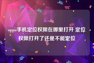 oppo手机定位权限在哪里打开 定位权限打开了还是不能定位
