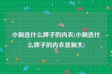 小胸选什么牌子的内衣(小胸选什么牌子的内衣显胸大)