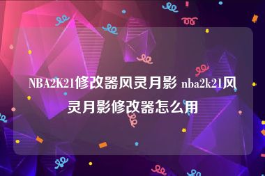 NBA2K21修改器风灵月影 nba2k21风灵月影修改器怎么用