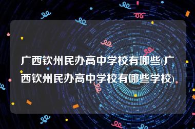 广西钦州民办高中学校有哪些(广西钦州民办高中学校有哪些学校)