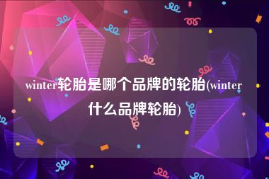 winter轮胎是哪个品牌的轮胎(winter什么品牌轮胎)