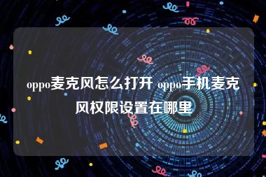 oppo麦克风怎么打开 oppo手机麦克风权限设置在哪里