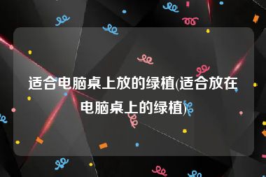 适合电脑桌上放的绿植(适合放在电脑桌上的绿植)