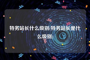 特务站长什么级别(特务站长是什么级别)