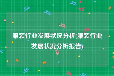 服装行业发展状况分析(服装行业发展状况分析报告)