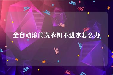 全自动滚筒洗衣机不进水怎么办