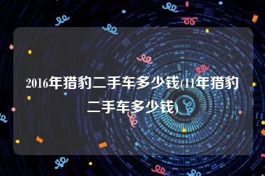2016年猎豹二手车多少钱(11年猎豹二手车多少钱)