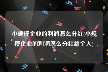 小规模企业的利润怎么分红(小规模企业的利润怎么分红给个人)