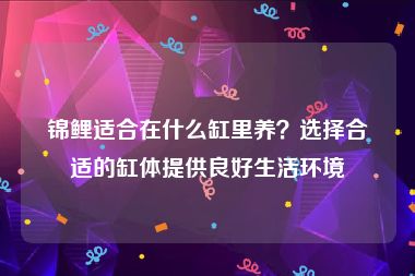 锦鲤适合在什么缸里养？选择合适的缸体提供良好生活环境