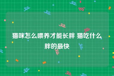 猫咪怎么喂养才能长胖 猫吃什么胖的最快